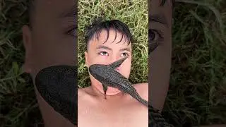 Baby&rsquo;s Face vs. Creepy Fish&hellip; You Won&rsquo;t Stop Laughing! 😂🐟#couple #martialarts #funnykid #funnykids