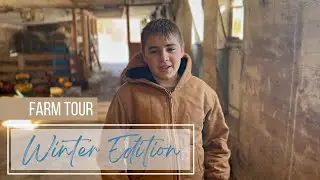 Building a Homestead | Farm Tour: Winter Edition