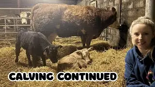 Неудачное начало, но отличное завершение дня.
