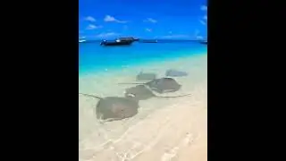 #short_video #travel #maldives #tiktok #youtube #voyage #walking #amazing #beautifulplaces
