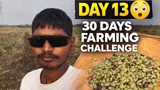 30 Days Farming Life Challenge Day 13 😱 | Real Village Life#trending #shorts #vlog 