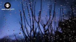 20 minutes of Deep Sleep with Relaxing Rain,Nature Music