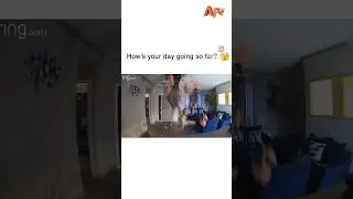 Man fell from the roof and landed in different apartment😅 #explore #explorepage #bhfyp #viral #fail