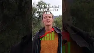 What is the best time to start raising meat birds?
