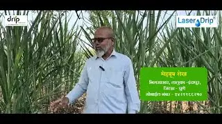 लेजर ड्रिप - चोकअप रोधक ठिबक | शेतकऱ्यांचा अनुभव