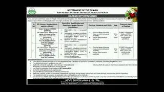 Government Of Punjab PERA Force Jobs 2026