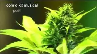 Camaradas Camar&atilde;o - Smoke Camar&atilde;o (Part. Forage SSM) (Webclip Oficial)