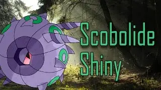 [SHTC 2015] Scobolide / Whirlipede Shiny en 5733 rencontres