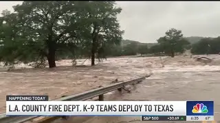 LA County Fire Department K9 teams deploy to Texas