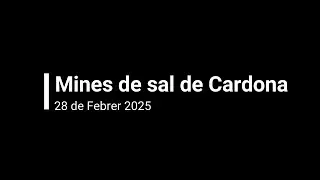 mines de sal cardona