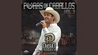 El Caballo Sin Registro (En Vivo)