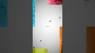 World Malaria Day 2025 | Sarvodaya Healthcare