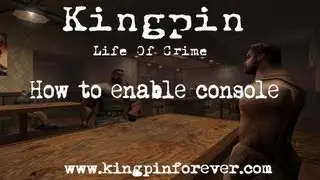 Kingpin Life Of Crime: How to enable console