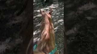На Мальдивы по навигатору 😂 #shorts #семья #отдых  #мальдивы