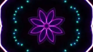 VJ Flower Neon Light Loop &ndash; 4K Ultra HD