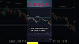 Tesla Stock    Risk vs Reward #short #teslastock #stockmarket
