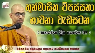 භාවනා වැඩසටහන හතරවන දින |  කොටස 02 |  අතිපූජ්‍ය අනුරාධපුරේ අනුරුද්ධ ස්වාමින් වහන්සේ