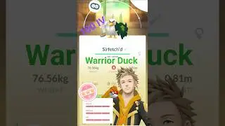 Warrior Duck ⚔️🦆 in Pok&eacute;mon GO (Sirfetch&rsquo;d)