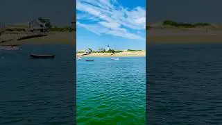 Cape Cod Bliss: Discover the Hidden Gems of Cape Cod National Seashore! 🌊 #Shorts