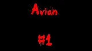 Avian Indie Horror | OBSESSION WITH KITTENS!