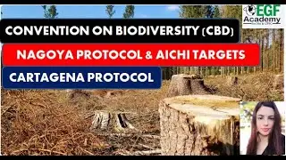 Convention on Biological Diversity l CBD l Nagoya Protocol l Cartegena Protocol l Aichi Targets