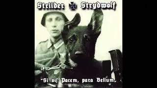 Striider & Strydwolf &ndash; Si Vis Pacem, Para Bellum (2010)