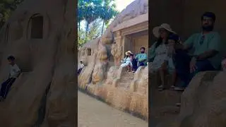 Tiger Cave 😱 || Pattipulam #tamilnadu #tiger #cave #shorts