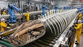 Inside the World's Strangest Factory: Giant Python Bones Transformed into Medicine