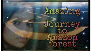 Amazon forest |Tamil |Black Swan
