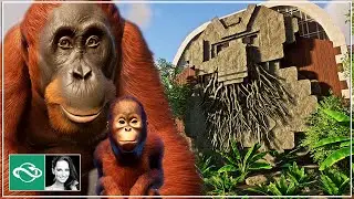 🏆 TOP 5 Winners Inspirational Habitat Contest | Orangutan | Planet Zoo |