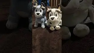 #bluey socks and muffin plush