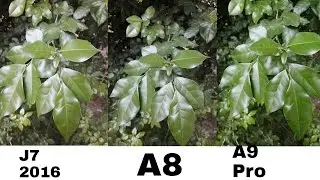 Samsung Galaxy A9 pro Camera Review Vs J7 2016 Vs A8
