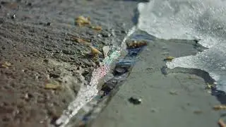 Canon EOS 60D + Helios 44-2 | Magic Lantern RAW Video Test