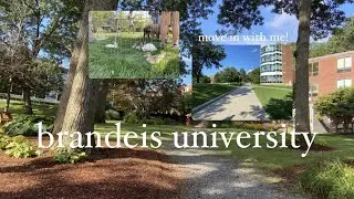 brandeis university move in vlog🦉🦉