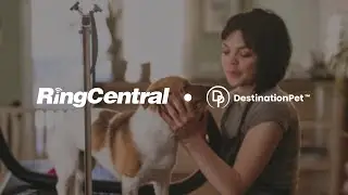 Destination Pet scales personalized care with RingCentral AI solutions