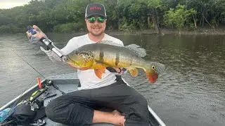 Pescaria Rio Jatapu, muuta chuva e ataques de tucunar&eacute;s 🎣