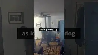 Chimney fire almost destroyed this home! See the two-minute save.