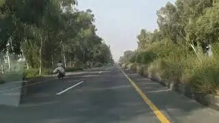 Patokki the land of Flowers