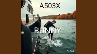 Bunny