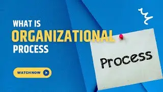 What is Organizational Process | Principles of Management