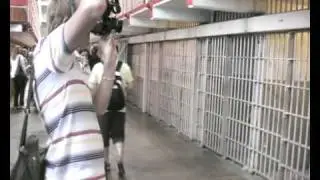 Visiting Alcatraz? Watch this first.