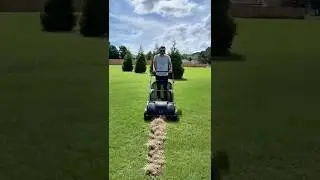 No More Raking! This Push Lawn Sweeper Changed My Life