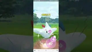 [Pokemon Go] Team Go Rocket Balloon - VS Grunt