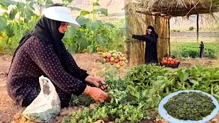 Village life in Iran: cooking traditional borani with purslane | village cooking | ILAM 