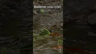 The Power of Belief | Inner Peace | Rainfall Vibes | Vibezilla