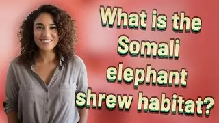 What is the Somali elephant shrew habitat?