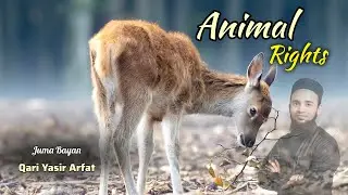 Janwaron Ke Huqooq | 🐈 | Animal Rights In Islam | Full Juma Bayan | By Qari Yasir Arfat
