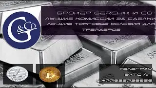 Мои текущие  сделки на валютном  рынке FOREX