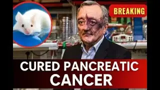 Scientists &ldquo;Cure&rdquo; Pancreatic Cancer In Mice!!! Huge Breakthrough!!!!!!