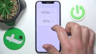 Zoom Controller Settings on iPhone - Everything You Need To Know